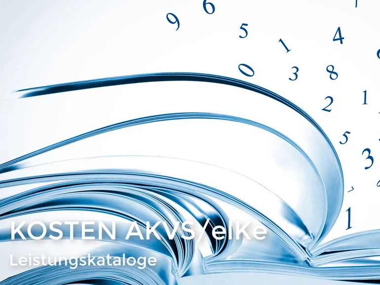 KBK 2019 in Kosten AKVS/elKe integriert